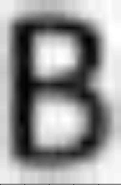A processed symbol ready for input into the character-recognition network.